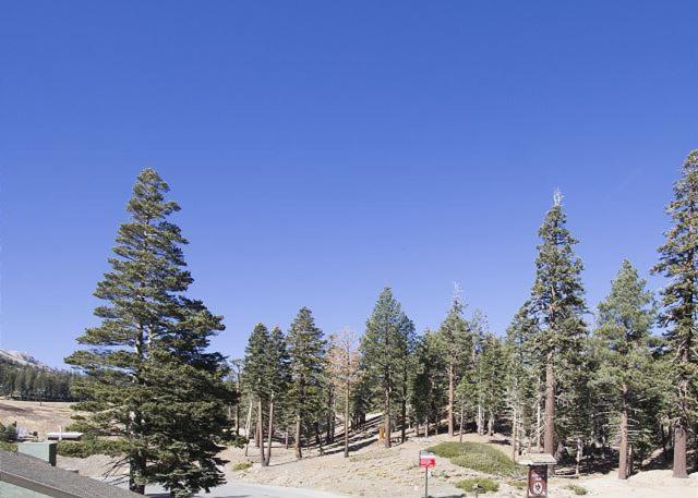 Austria Hof Lodge Mammoth Lakes Kültér fotó